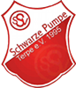 Wappen SSV Schwarze Pumpe/Terpe 1995  39556