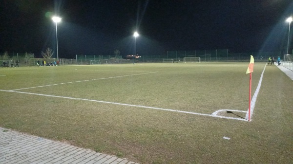 Sportanlage an der Elz Platz 2 - Waldkirch-Buchholz