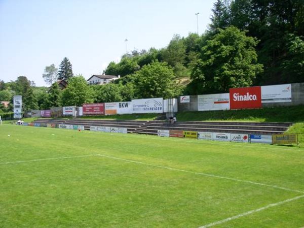 Alter Zustand: Naturrasen