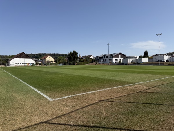 TSG-Akademie - Sinsheim-Hoffenheim
