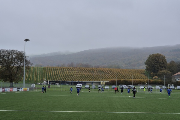 Terrain de Sports de Derrière-Ville terrain 1 - Champagne