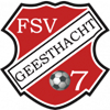 Wappen FSV Geesthacht 2007 diverse  18417