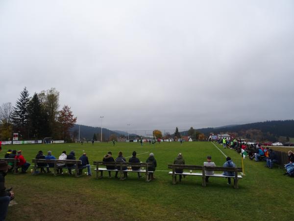 Viehbergarena - Sandl