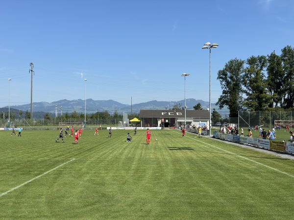 Sportplatz Rietly - Buttikon