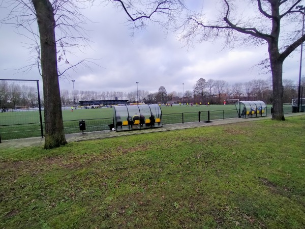 Sportpark Amstelhoef veld 3 - Oss