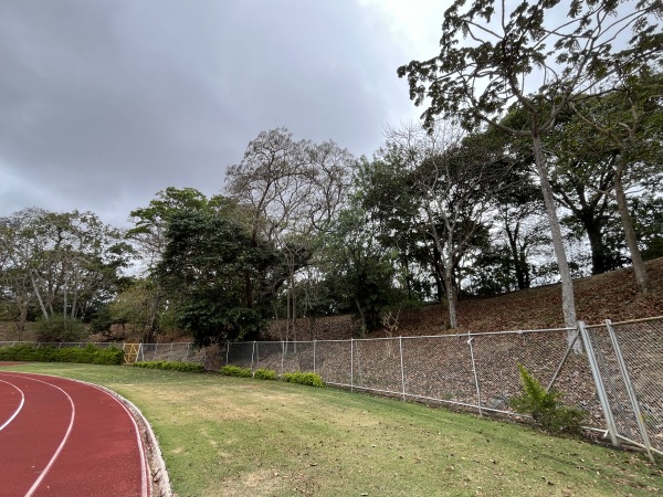 Estadio Ecólogico de la UCR - San José