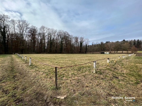 Sportplatz Oberholz - Rielasingen-Worblingen-Arlen