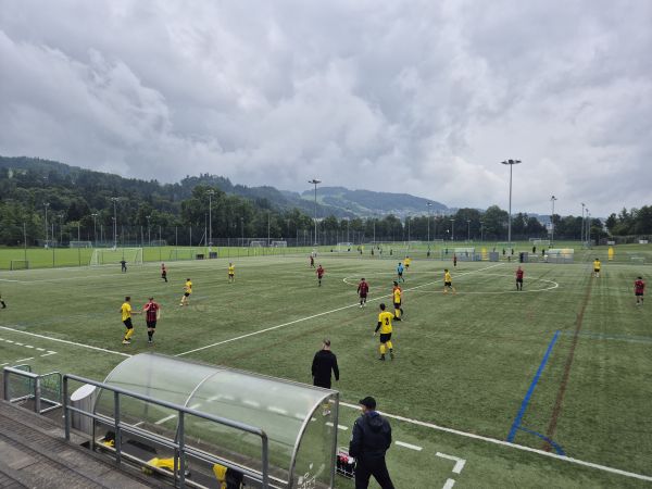 Sportanlagen Gründenmoos Platz 6 - St. Gallen