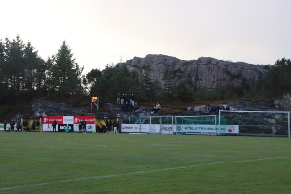 Telavåg gress - Telavåg