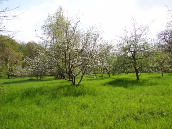 Sportplatz Am Welchenberg - Grevenbroich-Neuenhausen