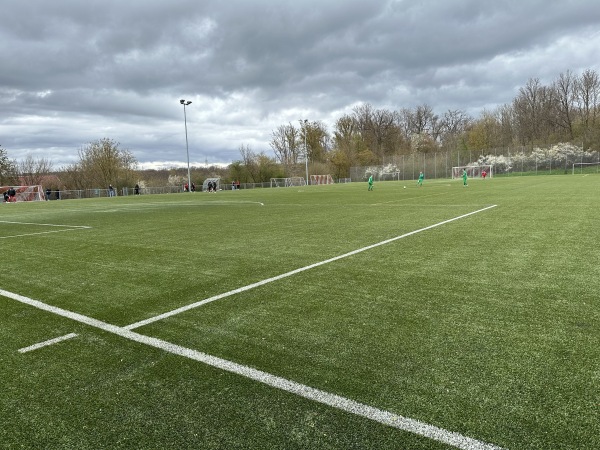 Sportanlage Schwendenwasen Platz 2 - Bempflingen