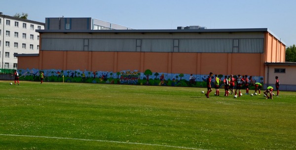 Sporthalle am Europagymnasium - Gommern