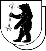 Wappen SV Rißegg 1951 diverse