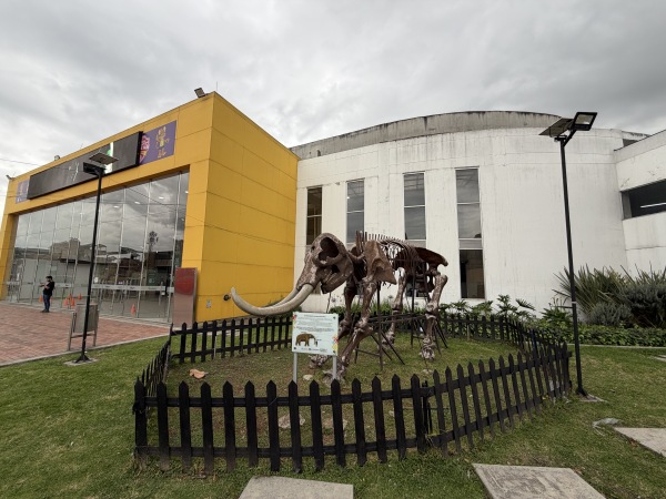 Coliseo Lucio Amortegui 1 - Mosquera