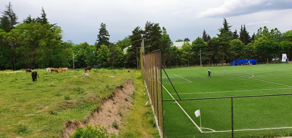 Futbolnoye Polye Dusheti - Dusheti