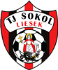 Wappen TJ Sokol Liesek  105458
