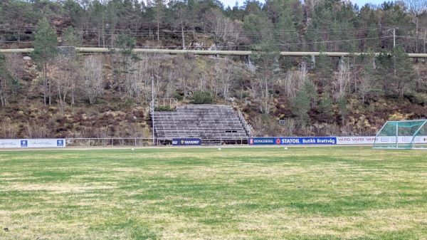 Brattvåg gras - Brattvåg