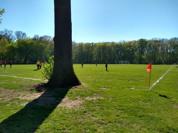 Sportanlage Nonnenwiese - Leipzig-Schleußig