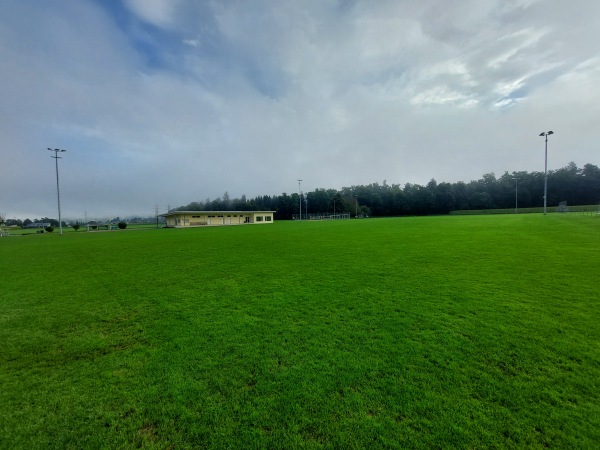 Sportanlage Altfeld Platz 1 - Niederlenz