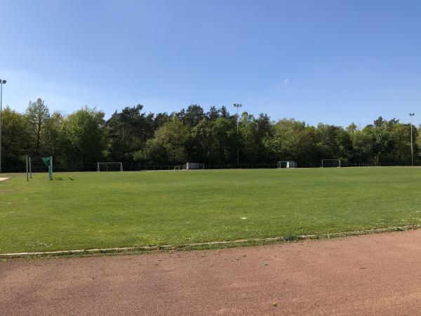 Waldstadion - Ibbenbüren-Dickenberg