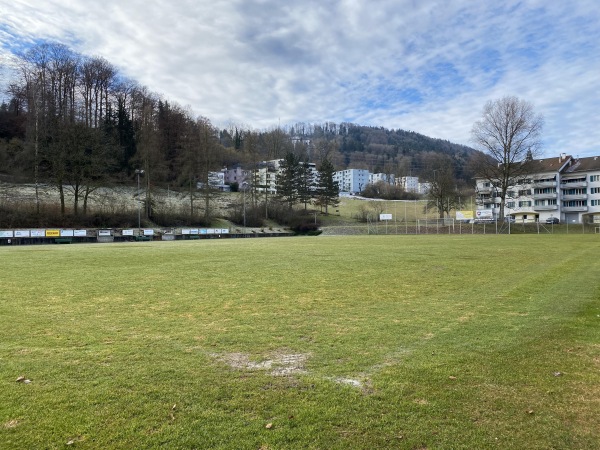 Sportplatz Grenzhof - Luzern