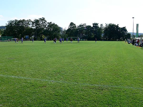 TSG-Sportanlage Buchenloch Platz 2 - Kaiserslautern-Lämmchesberg