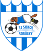 Wappen TJ Sokol Sobůlky  140370