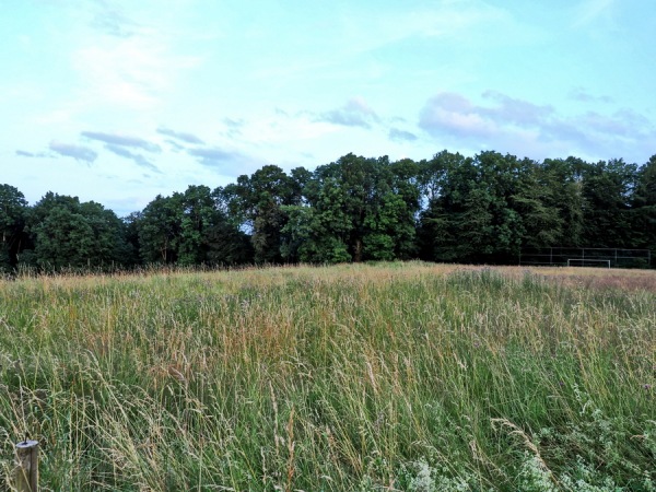 Sportplatz Rohr - Blankenheim/Ahr-Rohr