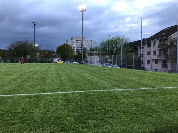 Sportanlage Roche - Birsfelden