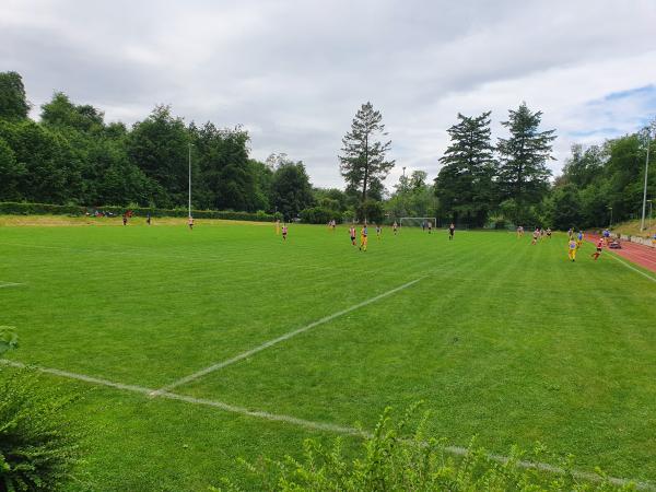 Sportplatz im Sommertal - Meersburg