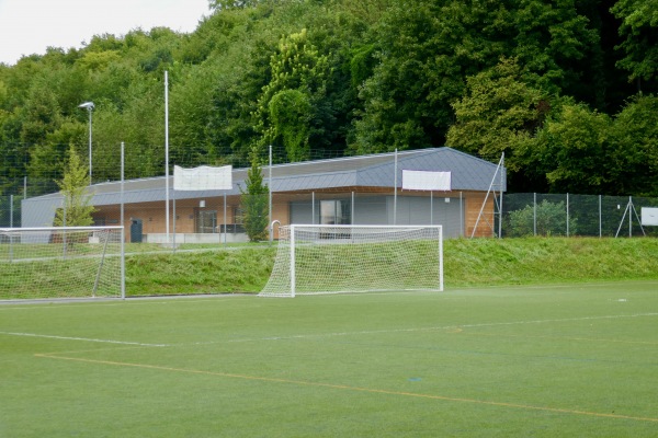 Complexe Sportif de la Fleur de Lys terrain 3 - Prilly