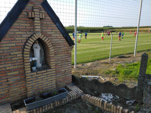 Complex Hoepertingen Terrein 2 - Borgloon-Hoepertingen