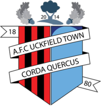 Wappen AFC Uckfield  84732