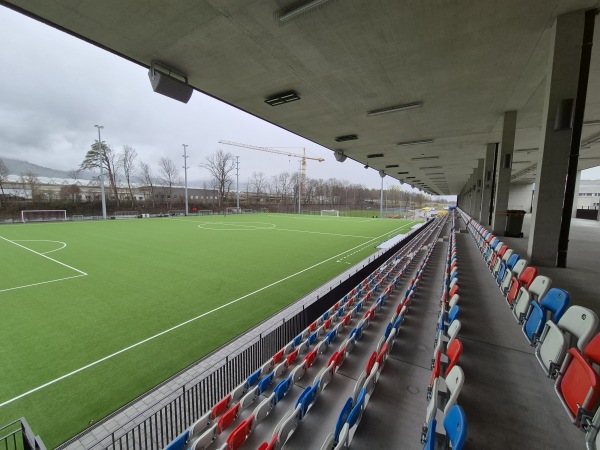 Sportanlage Rheinwiese Platz 5 - Schaan