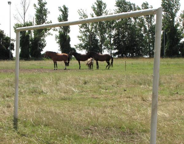 Sportplatz Höhnstedt 2 - Salzatal-Höhnstedt