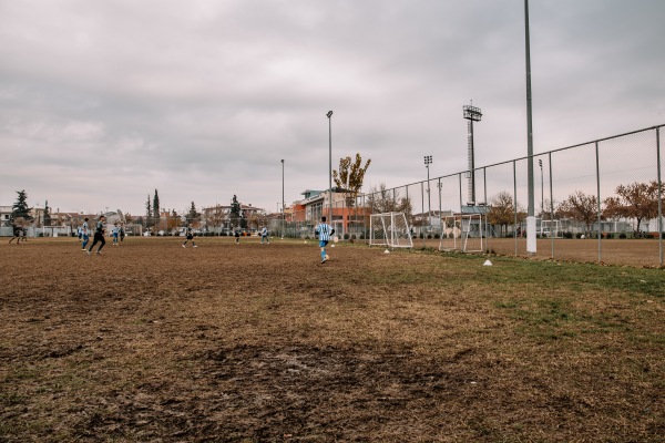 Stadio Nea Politia B - Larissa