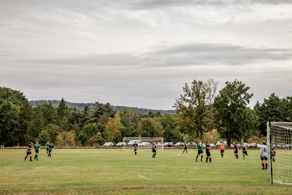 Sportplatz am Wald - Pirna-Hinterjessen