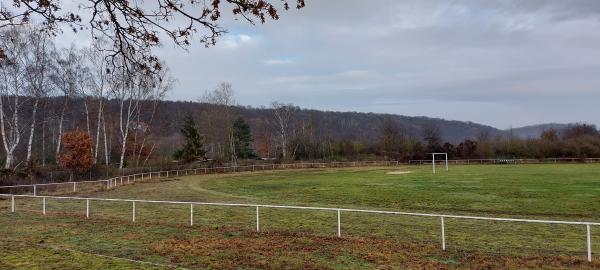 Harly-Stadion - Goslar-Vienenburg