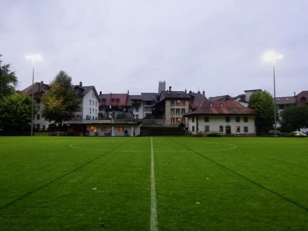 Terrain de Derrière-les-Jardins - Fribourg