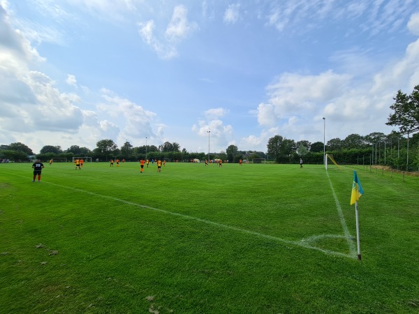 Sportpark De Bosk veld 6-HO - Achtkarspelen-Harkema