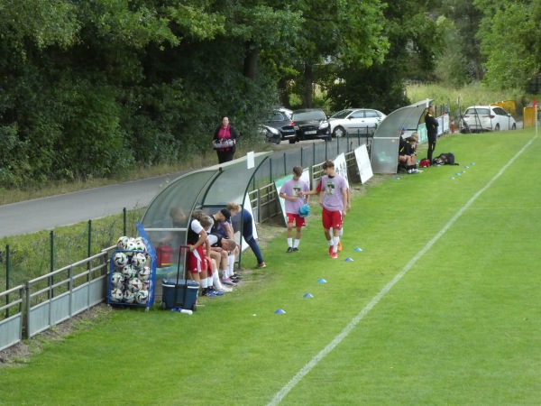 Boisko w Płotach - Płoty