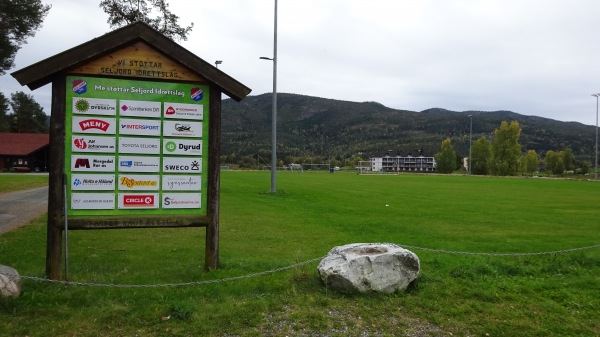 Eventyrøy gress - Seljord