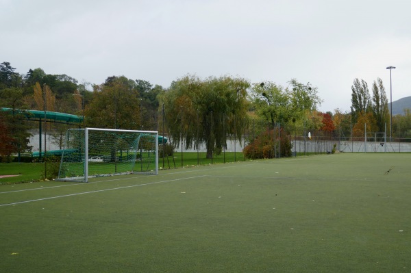 Stade de la Fontenette terrain E - Carouge GE