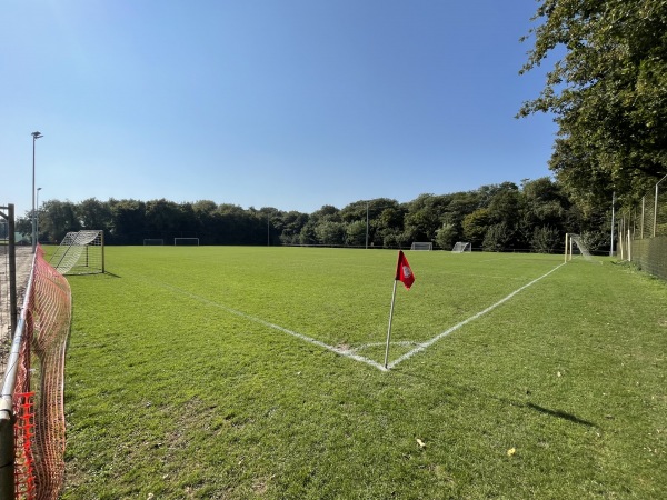 Sportpark Bergenshuizen veld 4 - Bergenshuizen