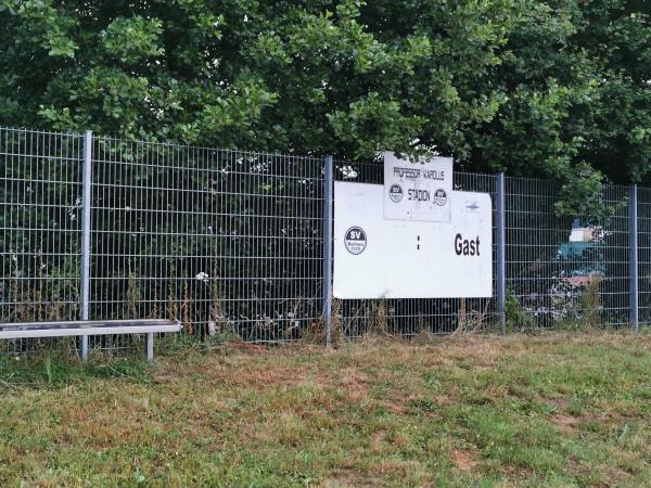 Professor-Karolus-Stadion Nebenplatz - Sinsheim-Reihen