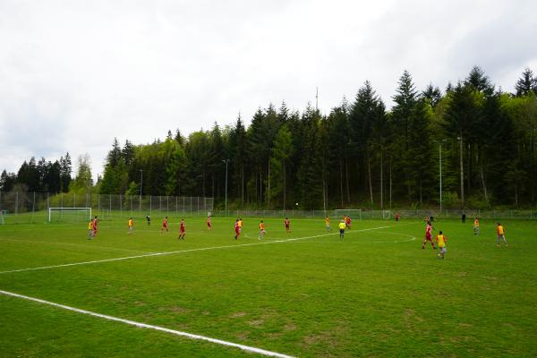 Waldheimplatz - Albstadt-Ebingen