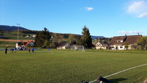 Sportplatz Wyler - Riedholz