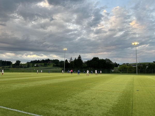 Sportanlage Im Riet Platz 3 - Gossau ZH