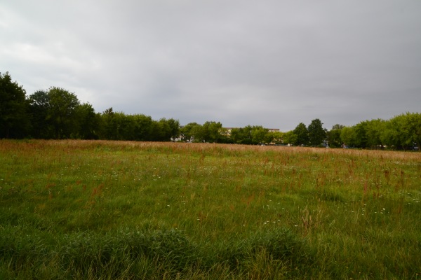 Sportplatz Golle - Osterburg/Altmark