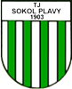 Wappen TJ Sokol Plavy  97259